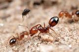 文章附圖