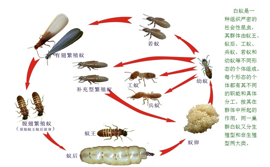 幻燈片1.JPG